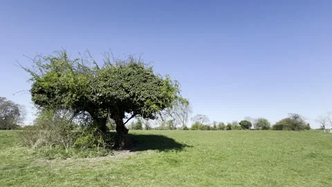 Gunthorpe Stock Footage 306018544