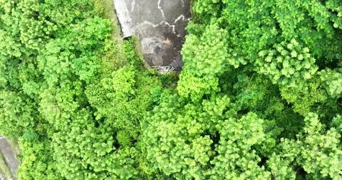 Gunung Payung Beach Stock Footage 233768591