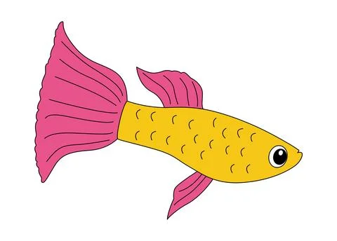 Guppy fish isolated on a white background Stock Illustration