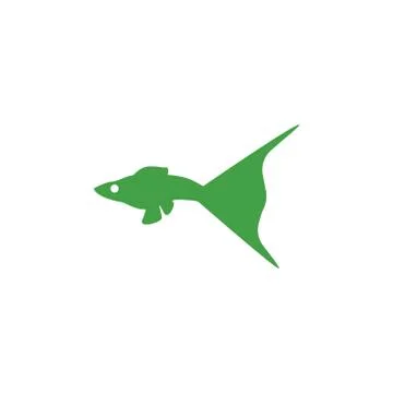 Guppy fish vector design template illustration Stock Illustration