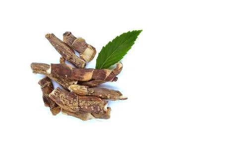 Gurbach root Stock Photos