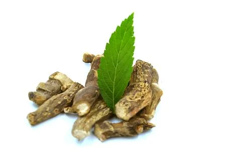 Gurbach root vacha root image Stock Photos