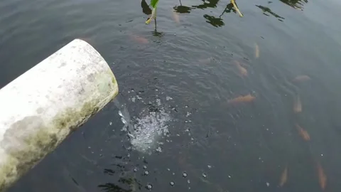 Gurgling pool water Video stock 169941681