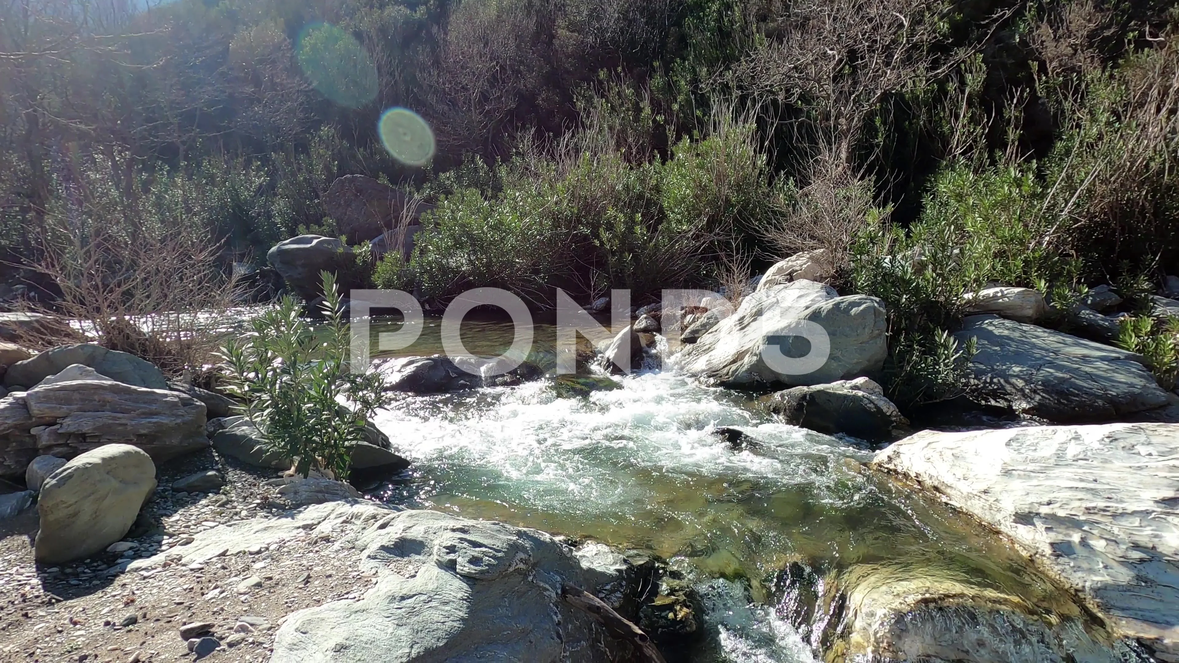 Gurgling stream rushing down a remote gorge in Euboea island, Greece Stock  Photo - Alamy