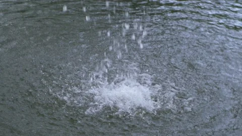 Gurgling streams of water fall into the middle of the garden pond Stock Footage 232494760