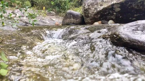 Gurgling Water over Stock Footage 260672028