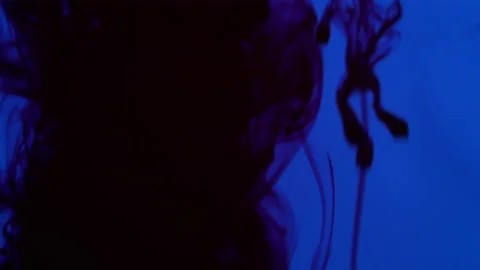 A gush of black drops diffusing in blue liquid. Stock Footage 201332040