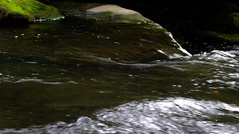 Gushing river, against the current - Slow Motion Stock Footage 244181125
