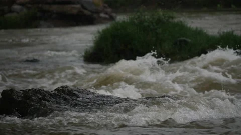 A gushing river water floating over a big rock, spirogyra rock at the side Video stock 225740779
