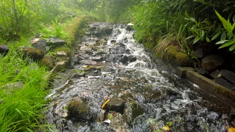 Gushing stream Video stock 246419800