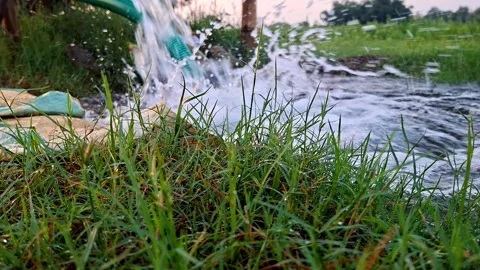 Gushing Water Stream Pouring Onto Green Farm Turf Stockbeeldmateriaal 342576903
