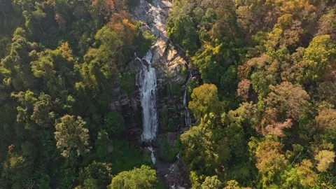 Gushing waterfall cutting through wild rainforest scene, Thailand Stock Footage 309118806