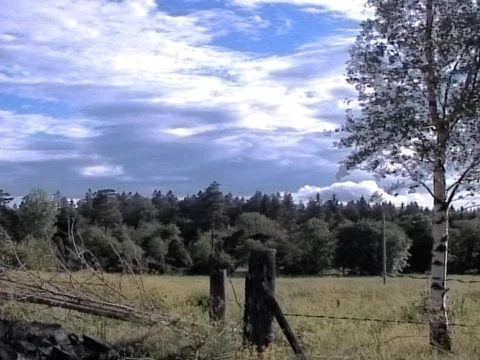 Gust Stock Footage 489917