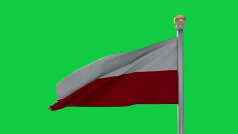Gust starting bicolor flag rippling and folding on pole, finial fixed, for Stock Footage 337945507