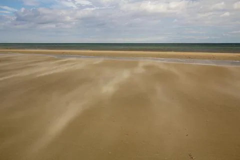 A gust of wind blowing over the beach Stock Photos