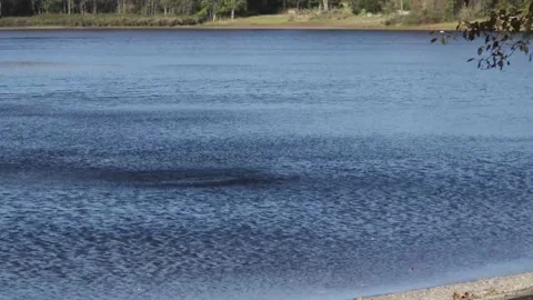 Gust of wind creates a small cyclone Stock Footage 153243852