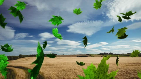Gusting breeze sending bright green leaves swirling across golden crop field Stock Footage 316191503