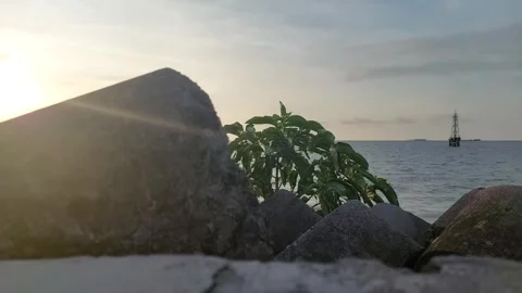 Gusung beach (11) Video stock 275634500