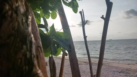 Gusung beach (5) Stock Footage 275634472