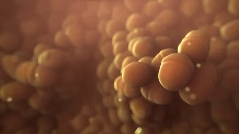 Gut bacteria Stock Footage 88124796