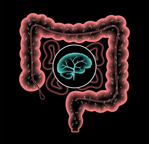 Gut Brain 3D Illustrazione stock