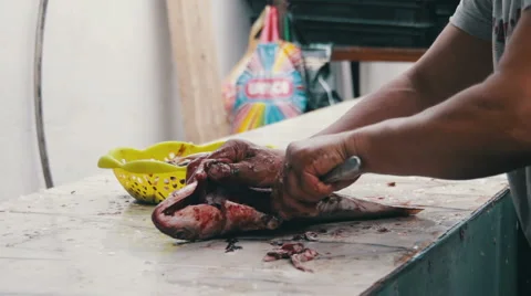 Gut Fish. Cleans Fish. Evisceration of fish. Fresh fish Processing. Skinning Video stock 66735773