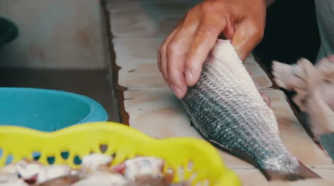 Gut fish. Cleans Fish. Fresh fish Processing Video stock 66973153
