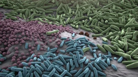 Gut flora Stock Footage 88125316