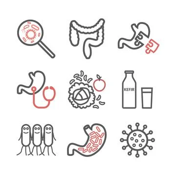 Gut flora. Line icons set. Vector signs Stock Illustration
