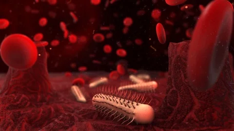 Gut flora microflora microbiota bacteria microbe for healthy gut Stock Footage 113776565