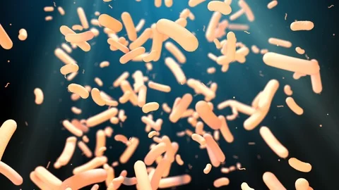 Gut flora microflora microbiota bacteria microbe for healthy gut Stock Footage 114259628