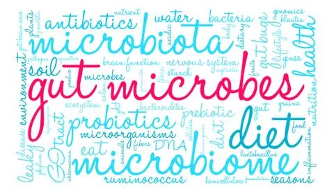 Gut Microbes Word Cloud Stock Illustration
