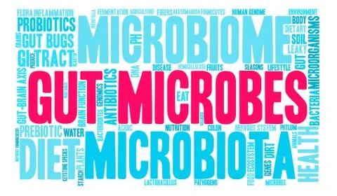 Gut Microbes Word Cloud Stock Illustration