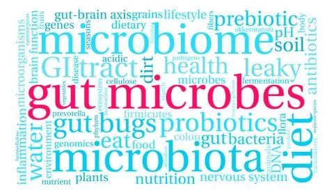 Gut Microbes Word Cloud Stock Illustration
