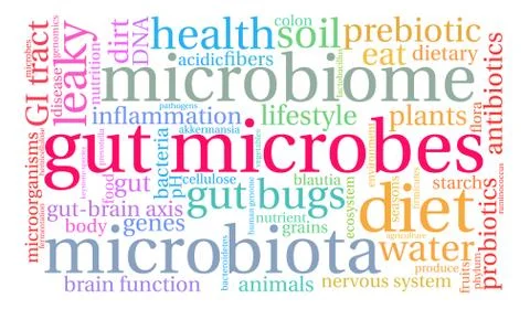 Gut Microbes Word Cloud Stock Illustration