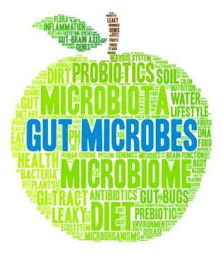 Gut Microbes Word Cloud Stock Illustration