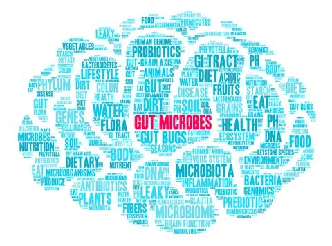 Gut Microbes Word Cloud Stock Illustration