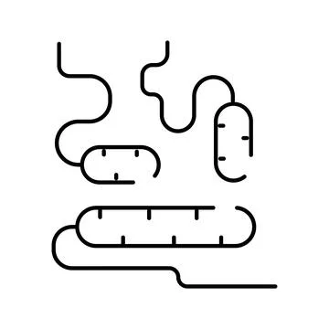 Gut microbiome and bacteria representing human intestine flora Stock Illustration
