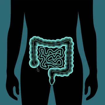 Gut microbiome concept Stock Illustration