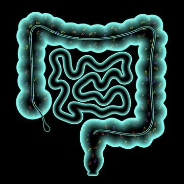 Gut microbiome concept イラスト素材