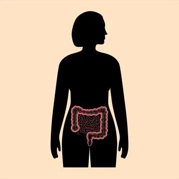 Gut microbiome concept 스톡 일러스트