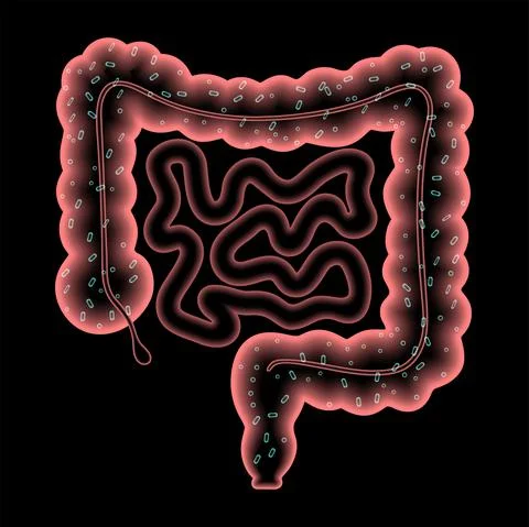 Gut microbiome concept Illustrazione stock