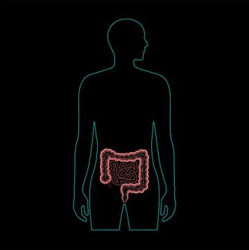 Gut microbiome concept Illustrazione stock