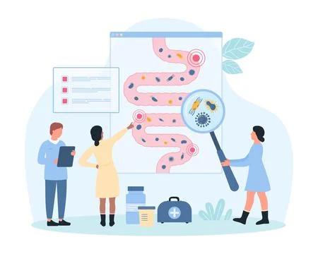 Gut microbiome research, tiny people with magnifying glass check human bowel Illustration