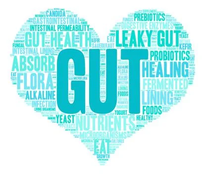 Gut Word Cloud Ilustração Stock