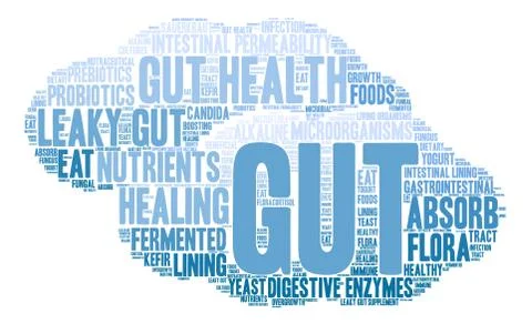 Gut Word Cloud Stock Illustration
