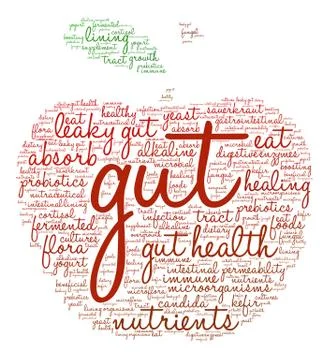 Gut Word Cloud Stock Illustration