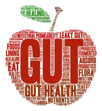 Gut Word Cloud Stock Illustration