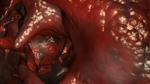 Guts Stock Footage 446342