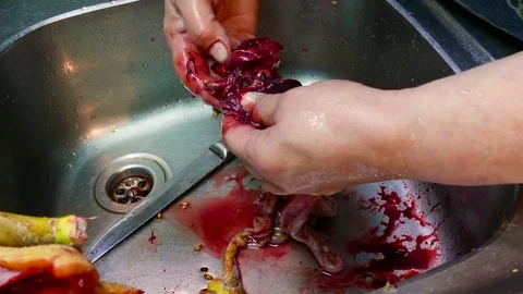 Guts in the sink 스톡 동영상 78875101